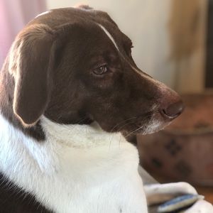 Meet your Posher, Cassie